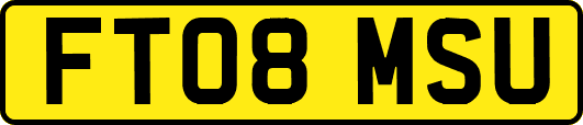 FT08MSU