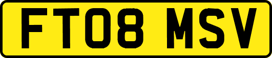 FT08MSV