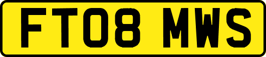 FT08MWS