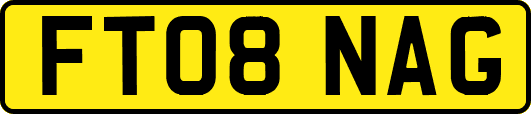 FT08NAG