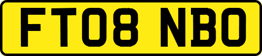FT08NBO