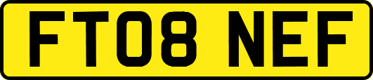 FT08NEF