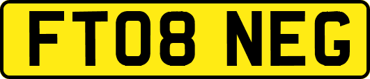 FT08NEG
