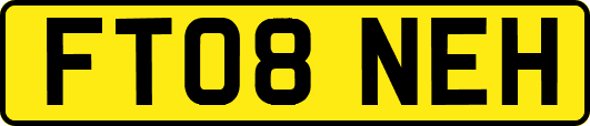 FT08NEH