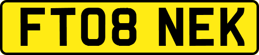FT08NEK