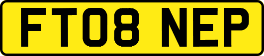 FT08NEP