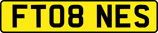 FT08NES