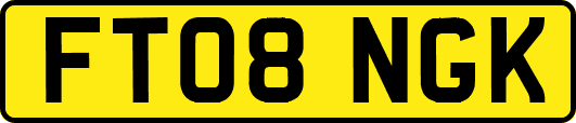 FT08NGK
