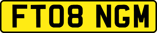 FT08NGM