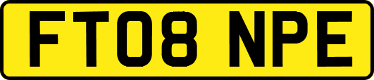 FT08NPE