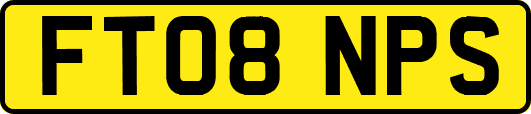 FT08NPS