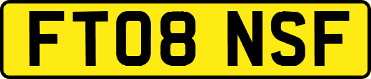 FT08NSF