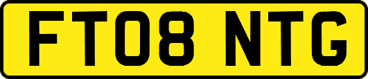 FT08NTG