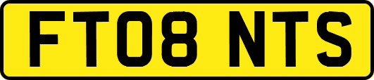 FT08NTS