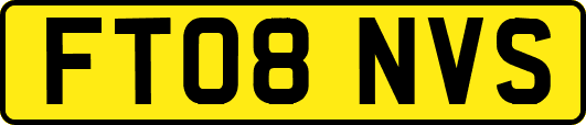 FT08NVS