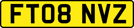 FT08NVZ