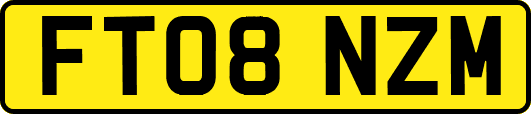 FT08NZM