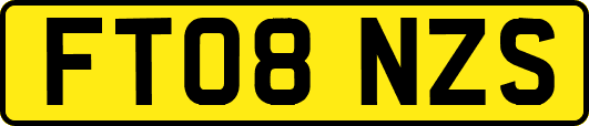 FT08NZS