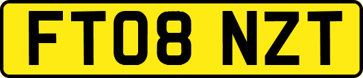 FT08NZT
