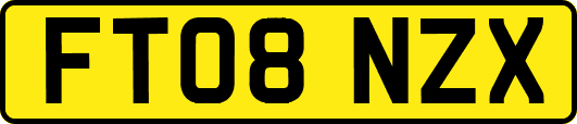 FT08NZX