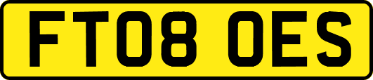 FT08OES