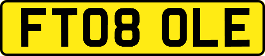FT08OLE
