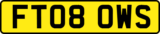FT08OWS
