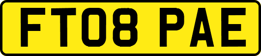 FT08PAE