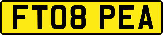 FT08PEA