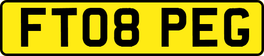 FT08PEG