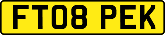 FT08PEK