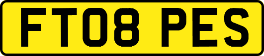 FT08PES