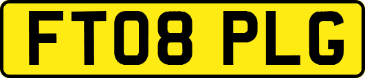 FT08PLG