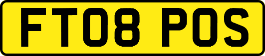 FT08POS