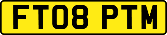 FT08PTM