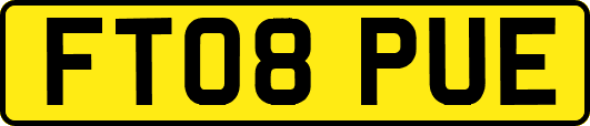 FT08PUE