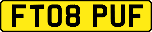 FT08PUF