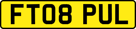 FT08PUL