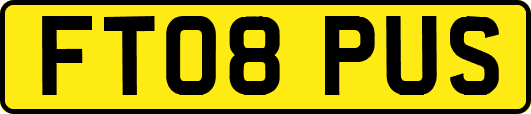 FT08PUS