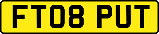 FT08PUT