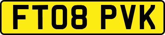 FT08PVK