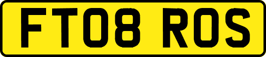 FT08ROS