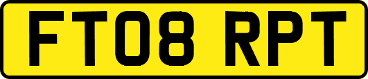 FT08RPT