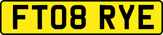 FT08RYE