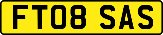FT08SAS