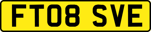 FT08SVE