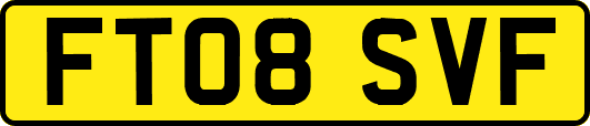 FT08SVF
