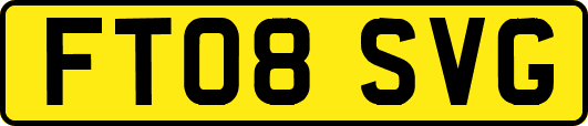 FT08SVG