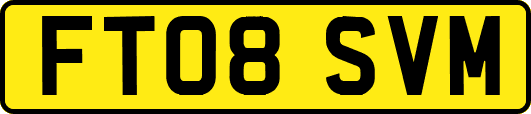 FT08SVM