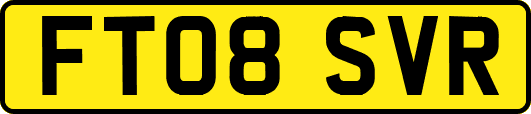FT08SVR